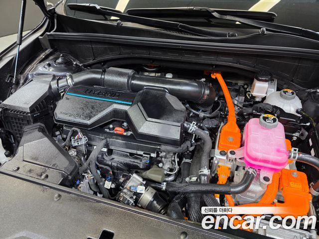 Kia Sorento (IV) HEV 1.6 4WD Noblesse 2023 — фото 6