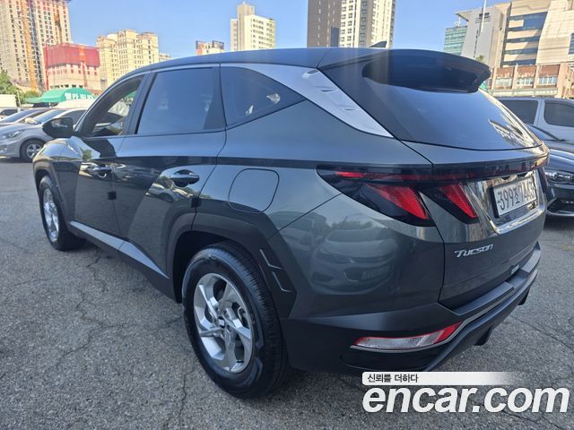 Hyundai Tucson (NX4) Diesel 2.0 2WD Modern 2023 — фото 2