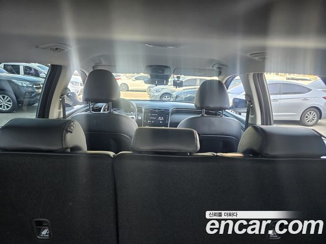 Hyundai Tucson (NX4) Diesel 2.0 2WD Modern 2023 — фото 17
