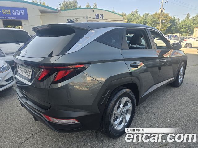 Hyundai Tucson (NX4) Diesel 2.0 2WD Modern 2023 — фото 19