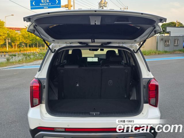 Hyundai Palisade Diesel 2.2 2WD Exclusive 2023 — фото 23