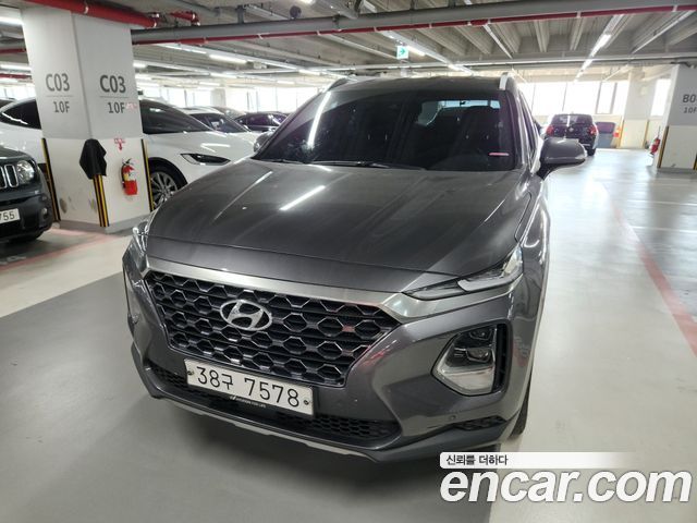 Hyundai Santa Fe (TM) Diesel 2.0 2WD Exclusive Special 2019 — фото 1