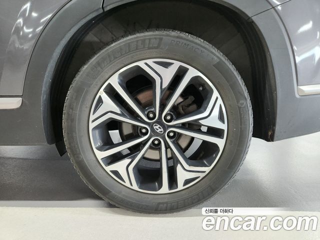 Hyundai Santa Fe (TM) Diesel 2.0 2WD Exclusive Special 2019 — фото 23