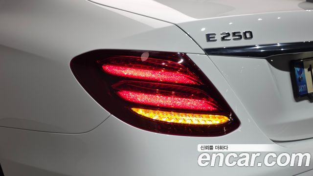 Mercedes-Benz E-Class (W213) E250 Avantgarde 2020 — фото 23