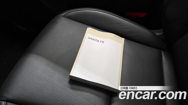 Hyundai Santa Fe (MX5) Gasoline 2.5T 2WD Calligraphy 2024 — фото 17