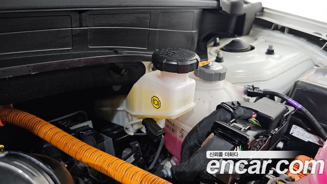 Kia Sportage Hybrid (V) Nobleless 2WD 2023 — фото 36