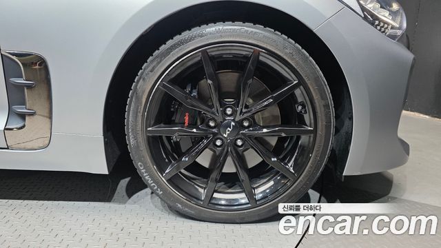 Kia Stinger Meister 3,3 GT Tribute Edition 2023 — фото 21