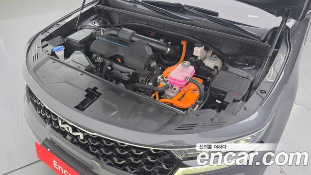 Kia Sorento (IV) HEV 1.6 2WD Noblesse 2023 — фото 6