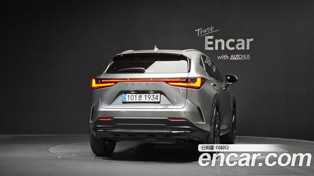 Lexus NX350h (II) Premium 2025 — фото 4