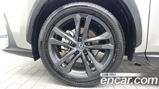 Lexus NX350h (II) Premium 2025 — фото 5