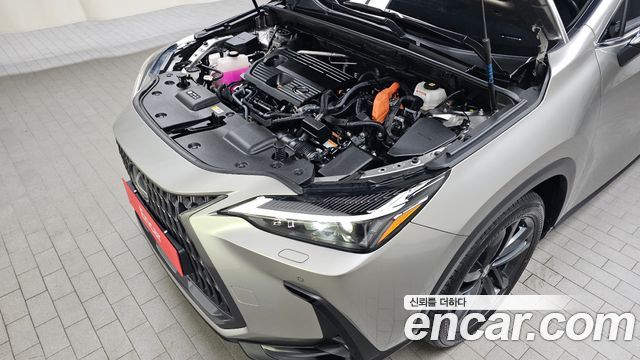 Lexus NX350h (II) Premium 2025 — фото 6