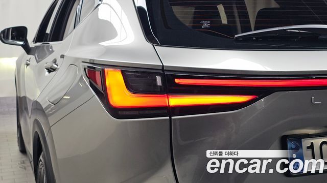 Lexus NX350h (II) Premium 2025 — фото 23