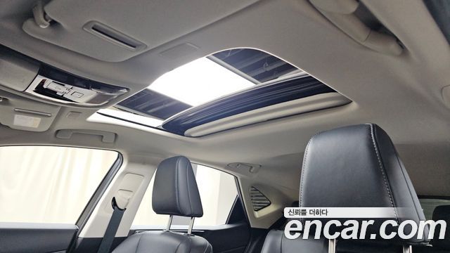 Lexus NX350h (II) Premium 2025 — фото 29