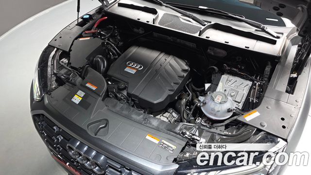Audi Q5 (FY) 45 TFSI Quattro Premium 2024 — фото 6