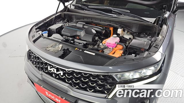 Kia Sorento (IV) HEV 1.6 2WD Noblesse 2023 — фото 6
