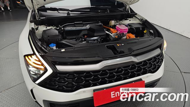 Kia Sportage Hybrid (V) Signature Gravity 2WD 2024 — фото 6