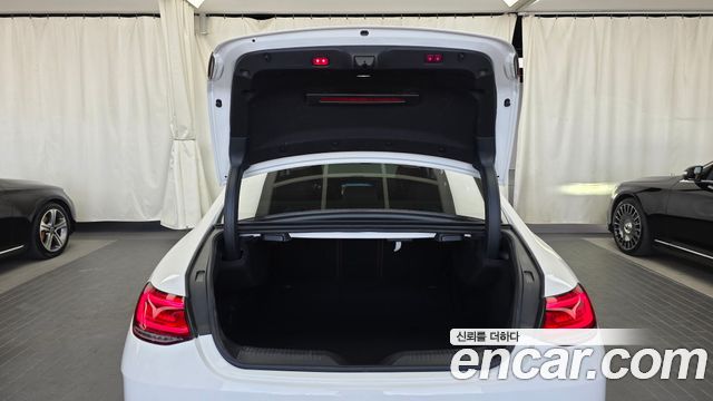 Mercedes-Benz CLS-Class (C257) CLS450 4MATIC AMG Line 2019 — фото 20