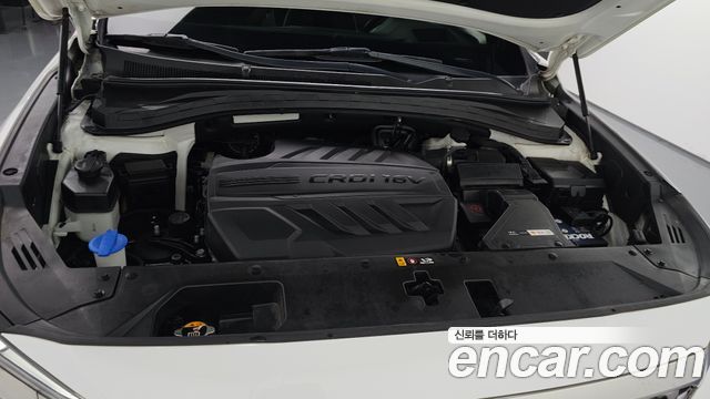 Hyundai Santa Fe (TM) Diesel 2.2 4WD Inspiration 2019 — фото 6