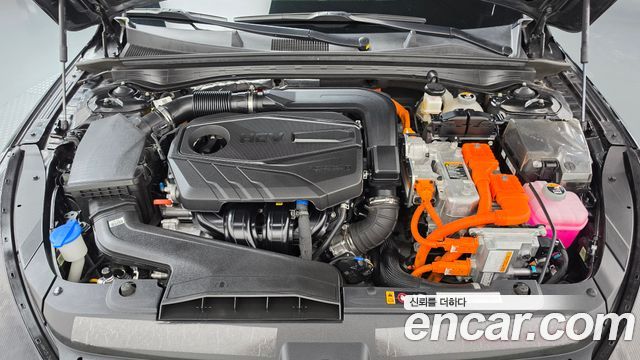 Kia K5 Hybrid (III) Trendy 2022 — фото 6