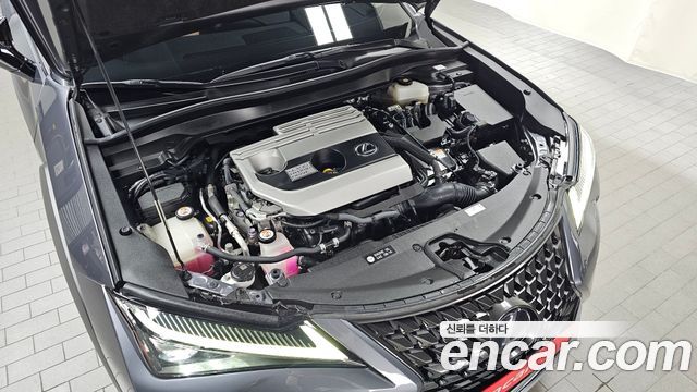 Lexus UX250h 2.0 AWD 2019 — фото 6