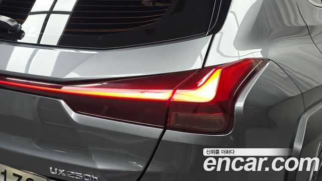 Lexus UX250h 2.0 AWD 2019 — фото 23