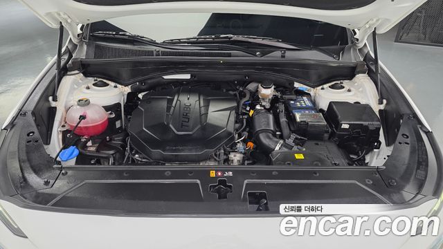 Hyundai Santa Fe Diesel 2.2 4WD Exclusive 2023 — фото 6