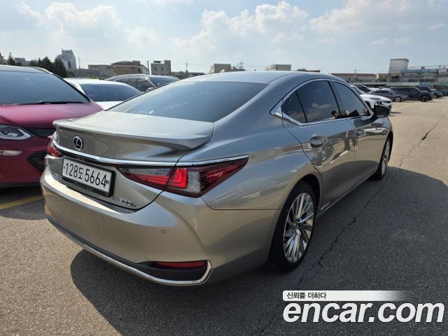 Lexus ES300h (VII) Executive 2020 — фото 2