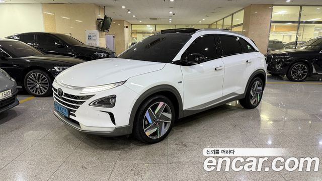 Hyundai Nexo Premium