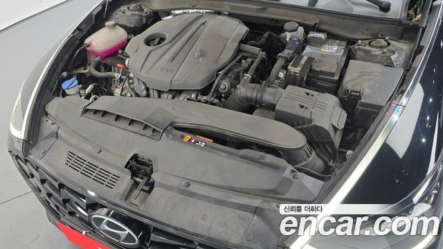 Hyundai Sonata (DN8) 2.0 Premium Plus 2023 — фото 6