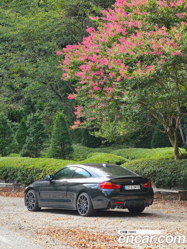 BMW 4 Series (F32) 420d xDrive M Sport Coupe 2016 — фото 5