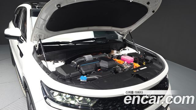 Kia Sorento (IV) HEV 1.6 2WD Gravity 2023 — фото 6
