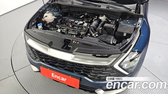 Kia Sportage (V) Gasoline 1.6 Turbo 2WD Signature 2024 — фото 6