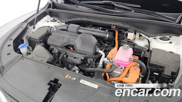 Kia Sorento (IV) HEV 1.6 2WD Gravity 2024 — фото 6
