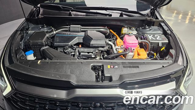 Kia Sportage Hybrid (V) Signature Gravity 2WD 2024 — фото 6
