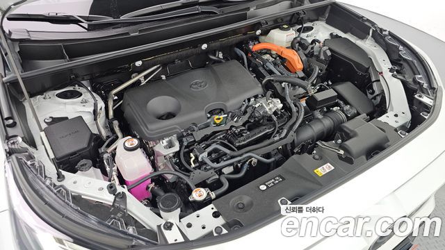 Toyota RAV4 (V) 2,5 4WD Hybrid LTD 2025 — фото 6