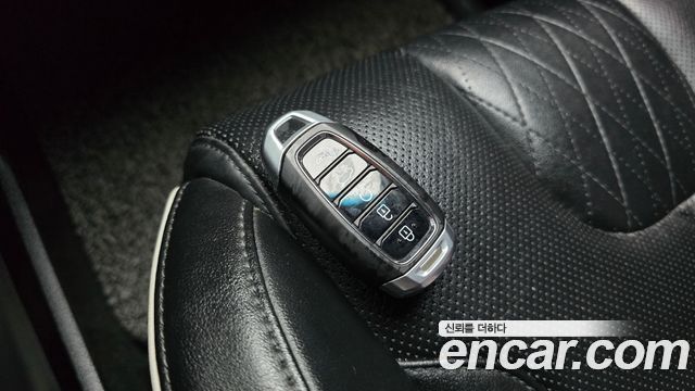 Hyundai Palisade Diesel 2.2 2WD Exclusive 2019 — фото 17