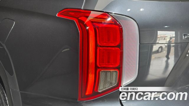 Hyundai Palisade Diesel 2.2 2WD Exclusive 2019 — фото 23