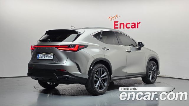 Lexus NX350h (II) Premium 2024 — фото 2