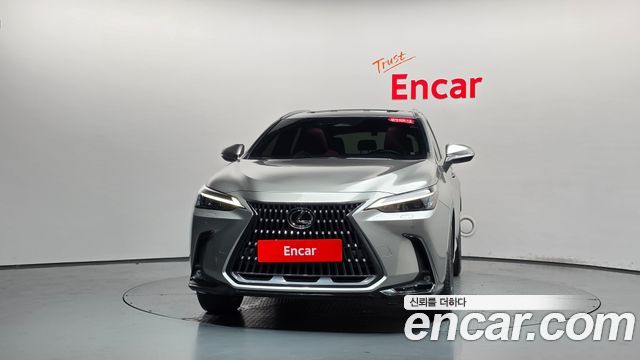 Lexus NX350h (II) Premium 2024 — фото 3