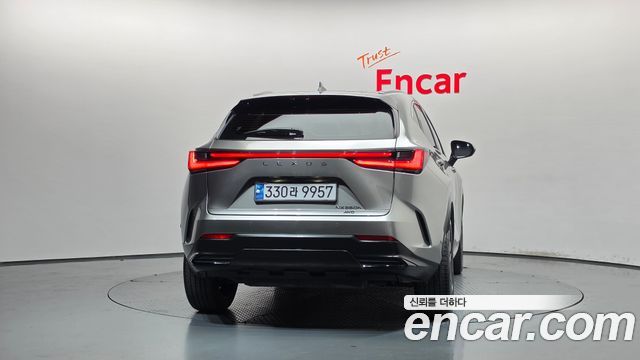 Lexus NX350h (II) Premium 2024 — фото 4