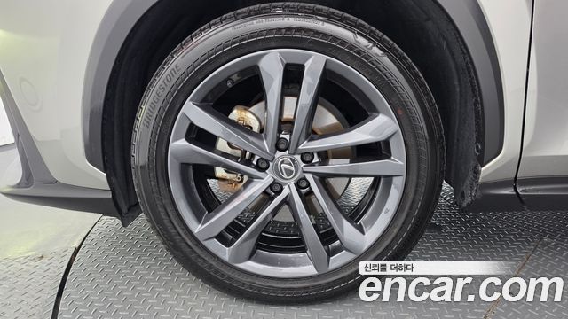 Lexus NX350h (II) Premium 2024 — фото 5