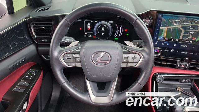 Lexus NX350h (II) Premium 2024 — фото 13