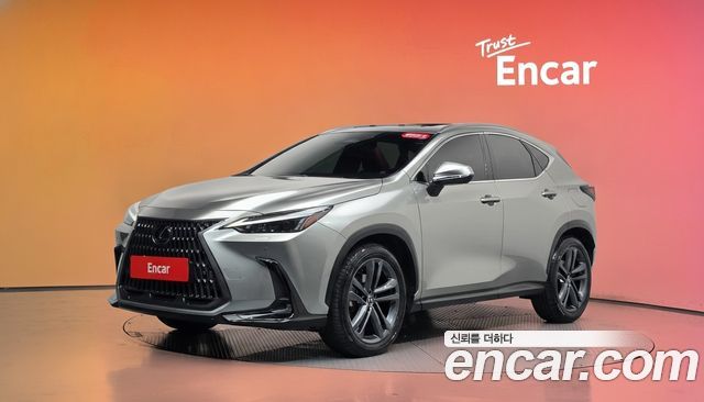 Lexus NX350h (II) Premium 2024 — фото 1