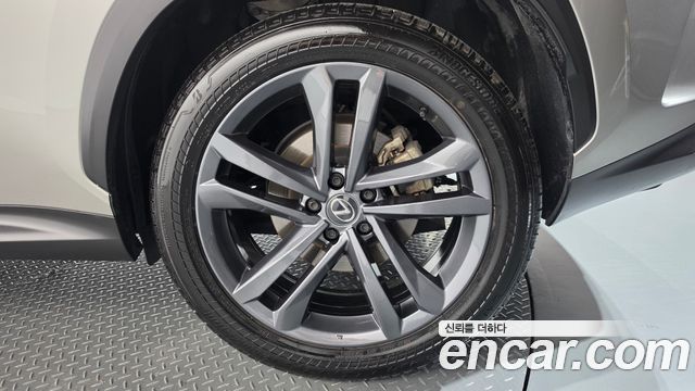 Lexus NX350h (II) Premium 2024 — фото 21