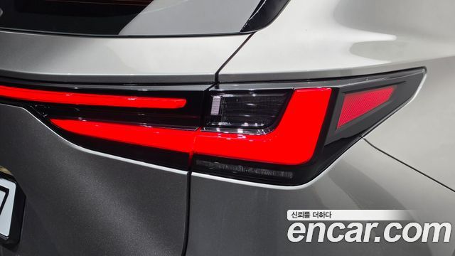 Lexus NX350h (II) Premium 2024 — фото 23