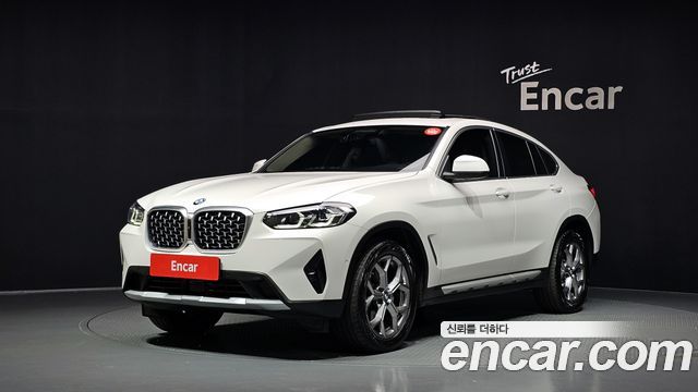 BMW X4 (G02) xDrive20i xLine