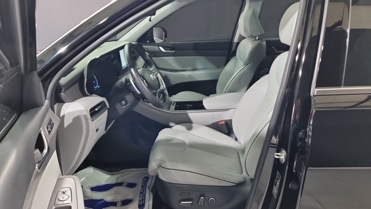 Hyundai Palisade Diesel 2.2 2WD Le Blanc 2024 — фото 10
