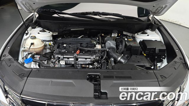 Hyundai Tucson (NX4) Gasoline 1.6 Turbo 2WD Premium 2023 — фото 6