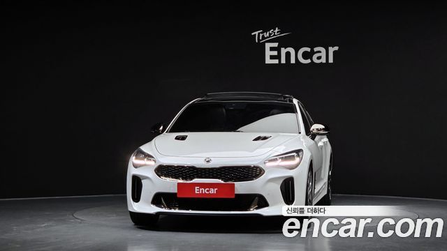 Kia Stinger 2.0 Turbo 2WD Platinum 2019 — фото 3