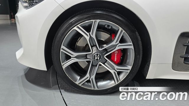Kia Stinger 2.0 Turbo 2WD Platinum 2019 — фото 5